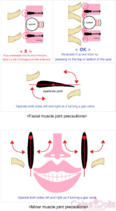 Earth Doll USDOLL Face Joints Guide