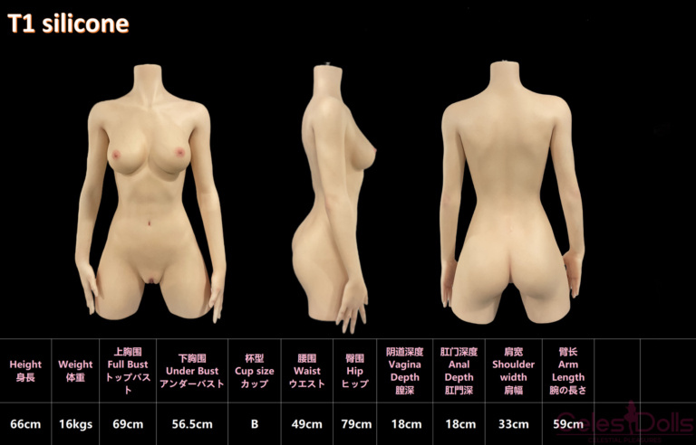 MLW Silicone Torso T1 66cm Specs