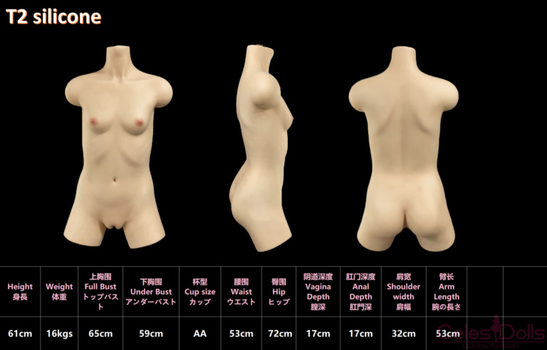 MLW Silicone Torso T2 61cm Specs