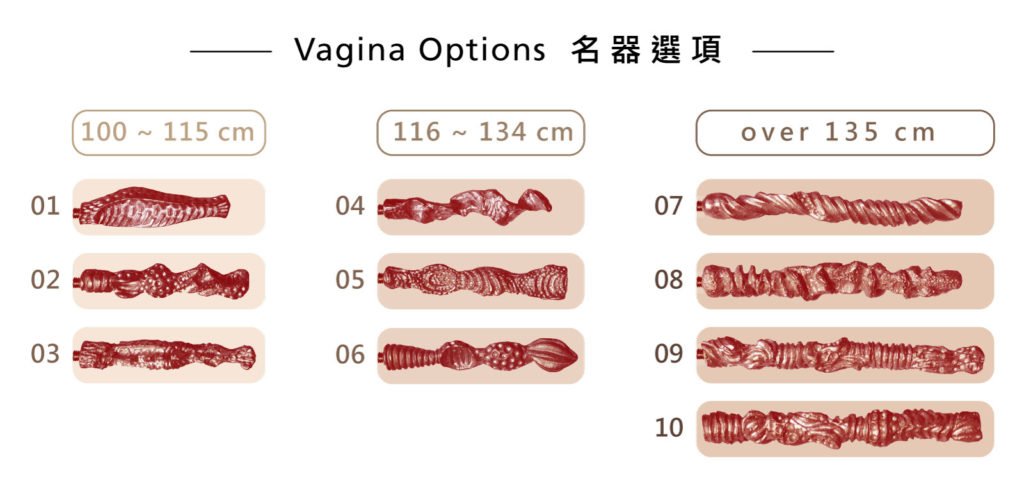 Vagina options